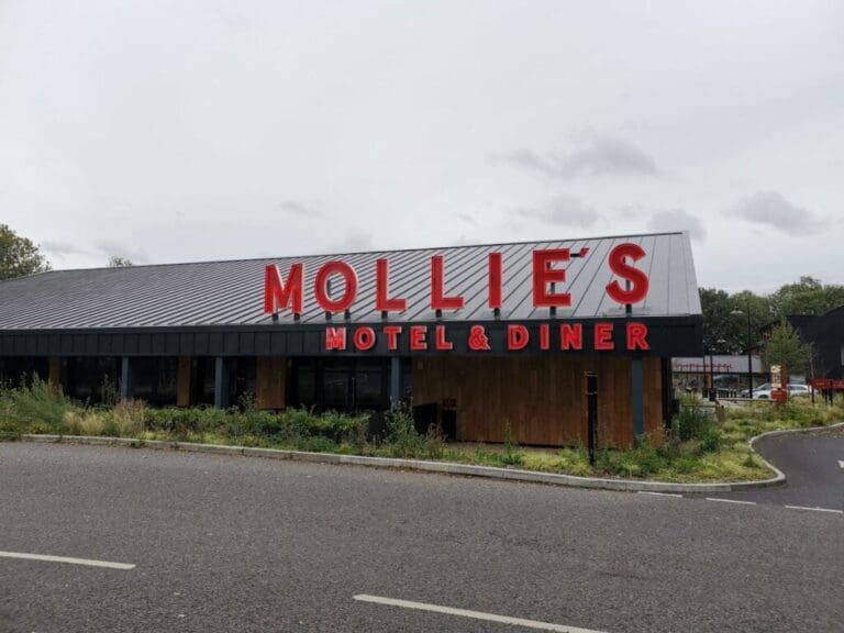 Mollies