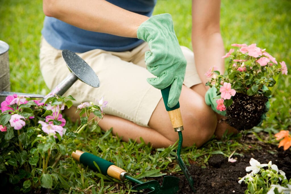 In our busy lives today, it's super important to find time to chill out and relax. Gardening is one awesome way to do just that, and it's got a bunch of cool benefits. It's not just a hobby – gardening can actually help your mental health, keep you fit, and help the environment too.