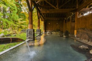 Smoky,Outdoor,Onsen,(hot,Spring),In,A,Ryokan,Of,Nyutou