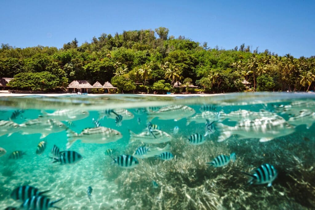 Split underwater shot of fish on reef looking back at Private beach bures on Turtle Island Resort in the Yasawa Islands