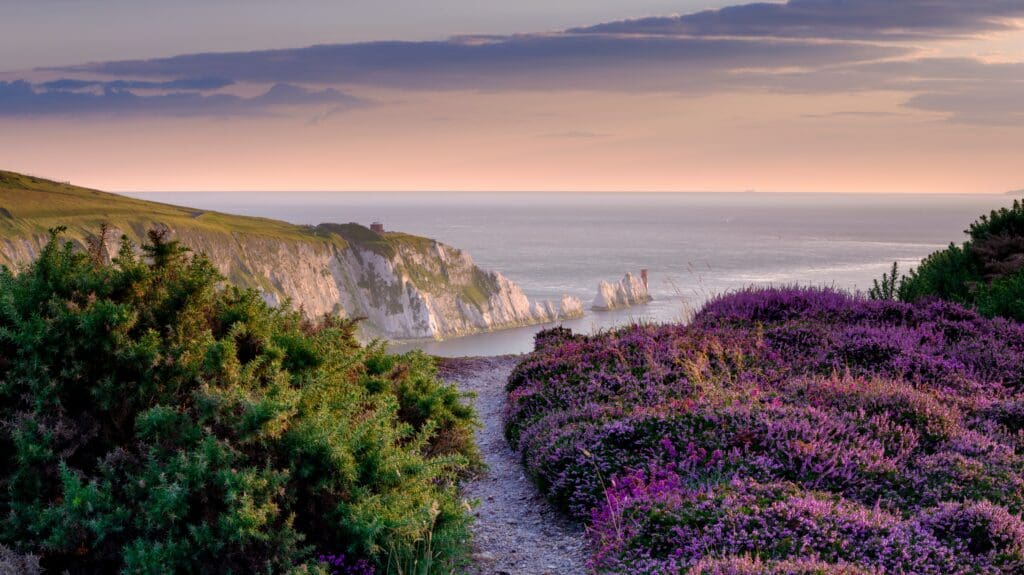 Isle,Of,Wight,,Uk,-,August,28,,2021:,Heather,And