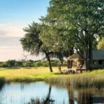 Experience Year-Round Safari Adventures in Botswana, Kenya and Zimbabwe with the Best of Great Plains