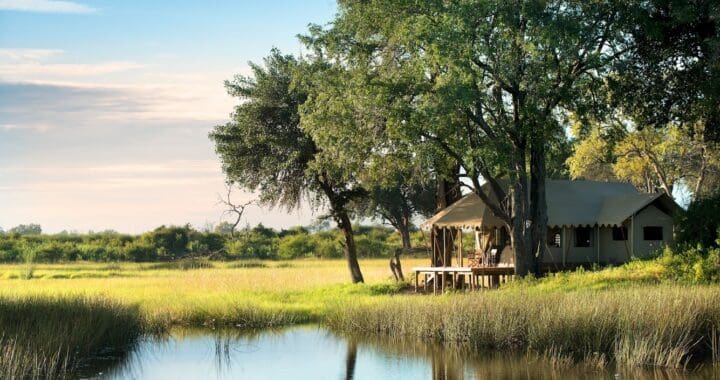 Experience Year-Round Safari Adventures in Botswana, Kenya and Zimbabwe with the Best of Great Plains