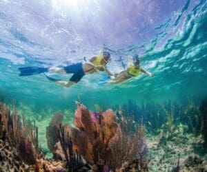 TravMedia_United_Kingdom_medium-sized_1661317_Florida-Keys-National-Marine-Sanctuary-Photo-Credit-Matt-McIntosh_Florida_Keys_NMS_Matt_McIntosh_(1)