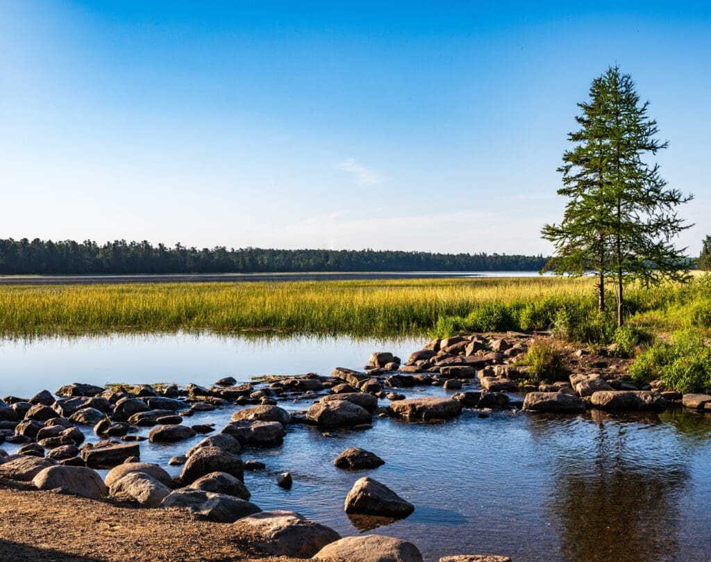 Mississippi,River,Headwaters,At,Lake,Itasca,In,Itasca,State,Park