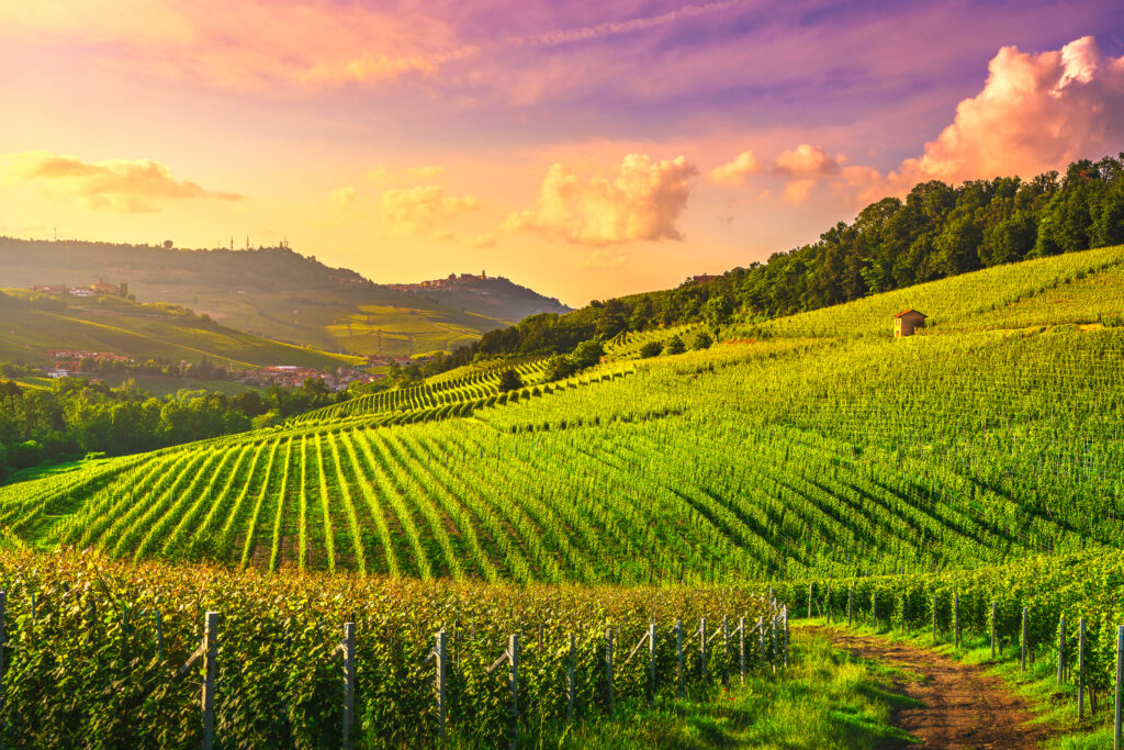 Langhe,Vineyards,Sunset,Panorama,,Barolo,And,La,Morra,,Unesco,Site,