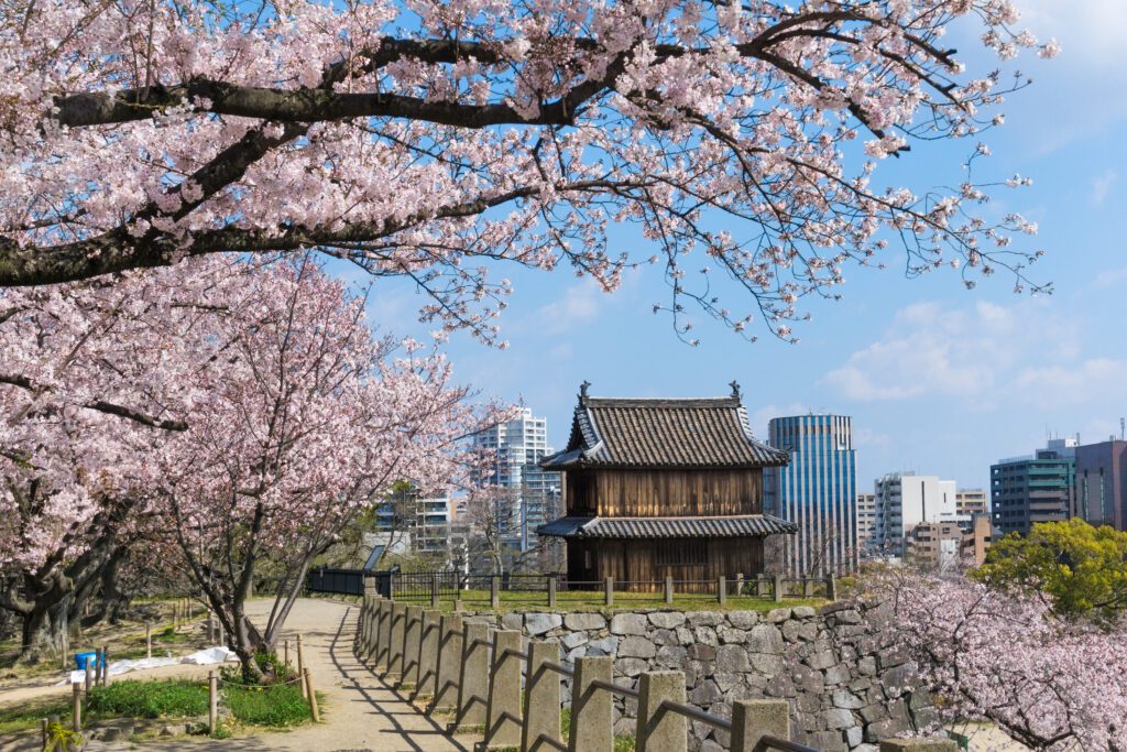 The,Ruins,Of,Fukuoka,Castle,Are,Located,In,The,Middle