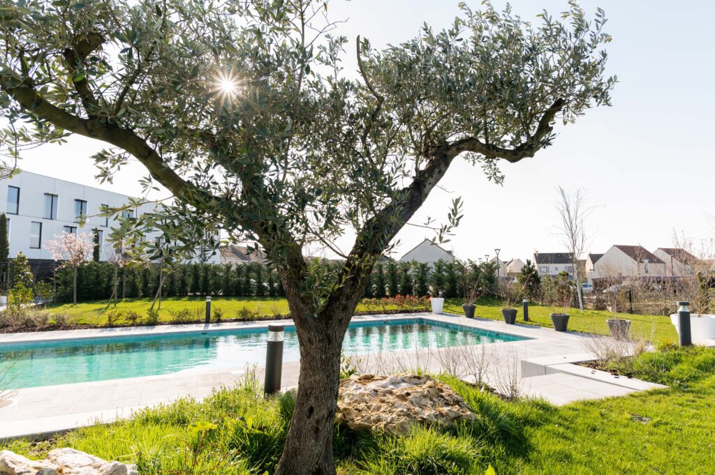 Hotel-Dali-Val-dEurope-Tapestry-Collection-by-Hilton-Pool