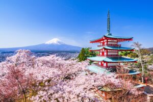 From neon-soaked metropolises to quiet mountain temples, steamy onsens to cutting-edge art islands, Japan is a country that offers depth, diversity and pure cultural immersion