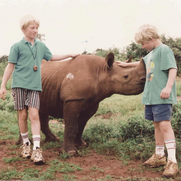 Rhino brothers
