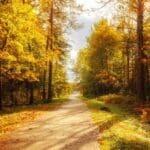 The Most Instagrammable Autumn Camping Spots in the UK Revealed