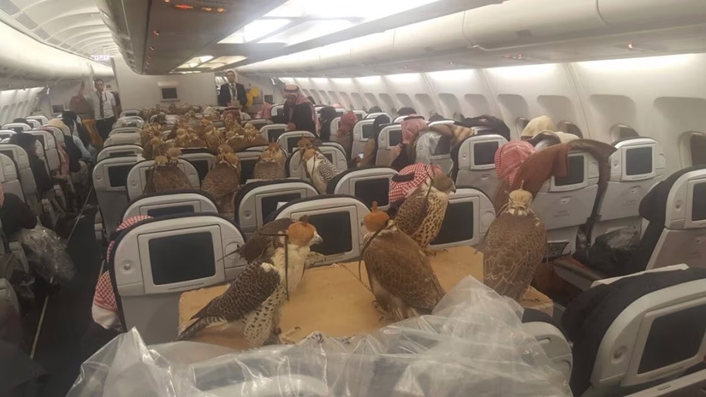In a world where private jets, bespoke itineraries, and discreet concierge services define high-net-worth travel, one Saudi prince once took luxury — and heritage — to an entirely new altitude.