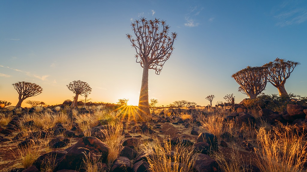 The African Tourism Board (ATB) has identified Namibia as Africa’s most authentic and demanding tourism destination, citing a sustained rise in international interest fuelled by global demand for space, sustainability, safety and immersive travel experiences.