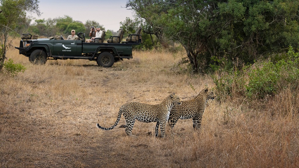 andBeyond has reopened Phinda Zuka Lodge following a thoughtful refurbishment that preserves the spirit of one of its most intimate safari properties while subtly elevating it for a new generation of travellers.