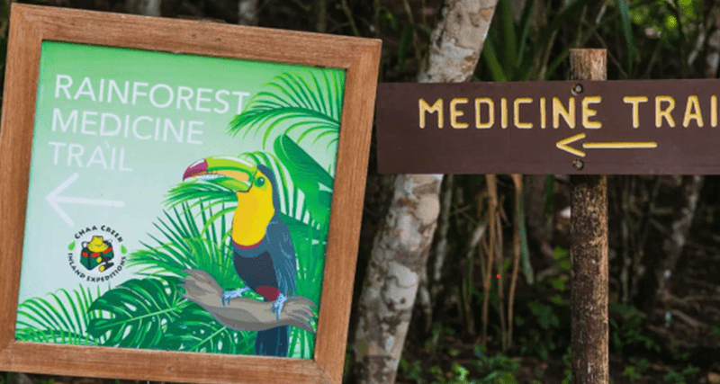Belize is emerging as a wellness destination where cacao spa rituals, Maya healing ceremonies and reef-side calm meet the needs of restorative business travellers.