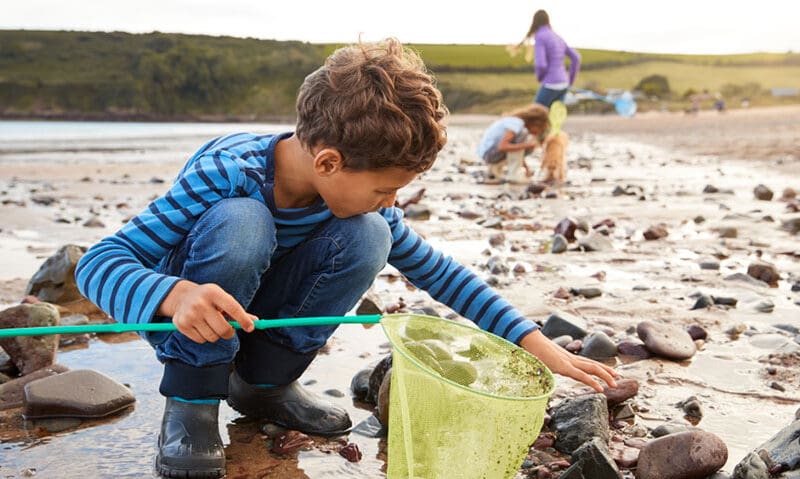 A coastal holiday in Cornwall often means spending hours by the sea, but nothing quite matches the excitement of discovering what lives in the rocky shallows.