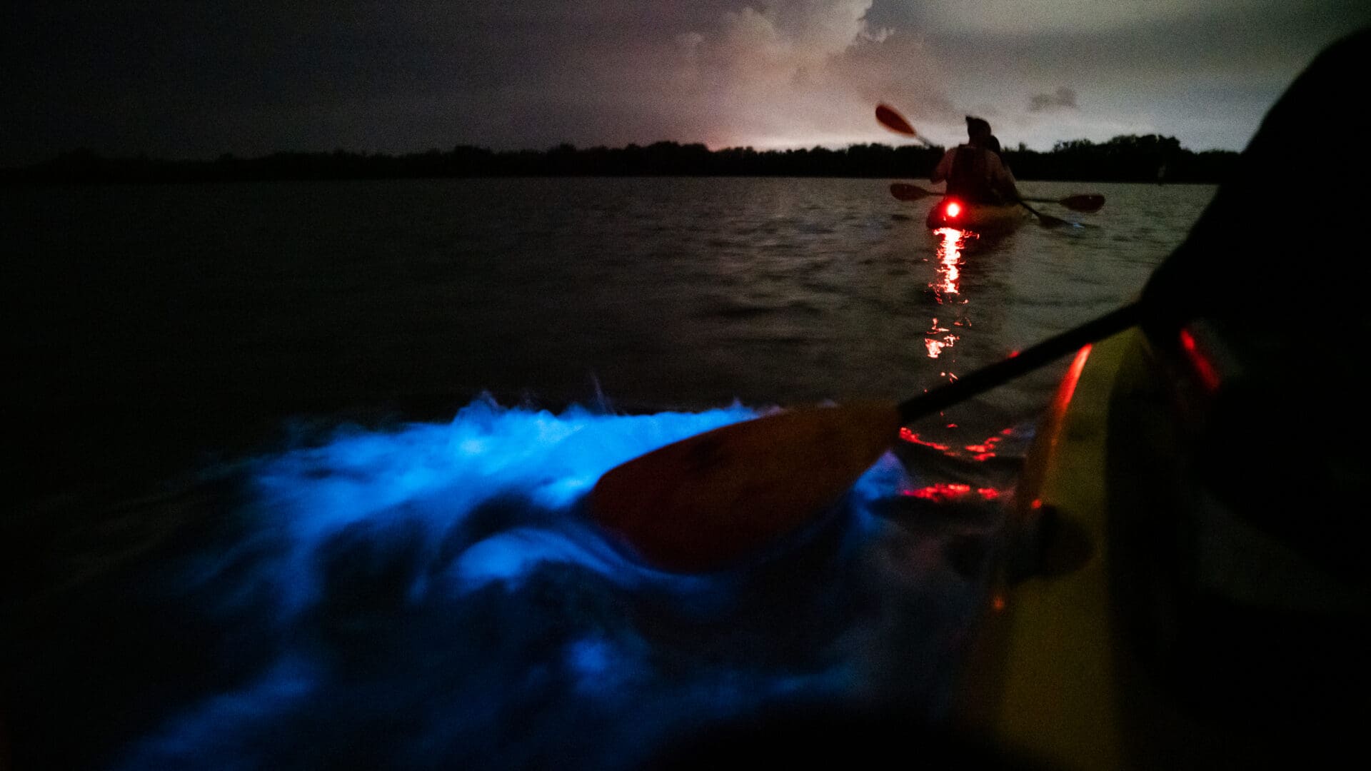 VISIT_FLORIDA_1761276_VISIT-FLORIDA_Cocoa_Beach_-_Bioluminescence_Kayaking_-_014_-_2022_(NPI_Productions)