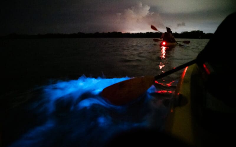 VISIT_FLORIDA_1761276_VISIT-FLORIDA_Cocoa_Beach_-_Bioluminescence_Kayaking_-_014_-_2022_(NPI_Productions)