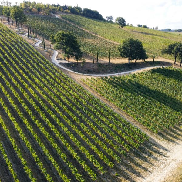 Walk, Tasting, Lunch