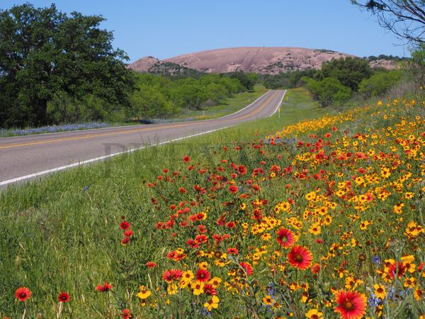 Fredericksburg_Convention_and_Visitor_Bureau_medium-sized_1762591_Enchanted_Rock_State_Natural_Area_P4133171_(credit_Steve_Rawls)_(1)_(2)_(1)