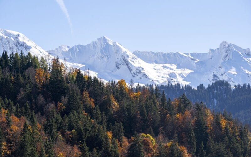Grand Bornand _ V.EUZEN copy