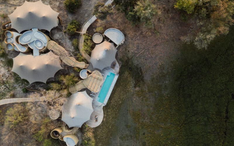 Mombo Sanctuary Botswana_09-25_Flink_15
