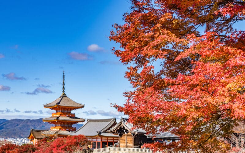Typical,Landscape,Of,Old,City,Kyoto,With,Momiji,Auntumn,Leaves