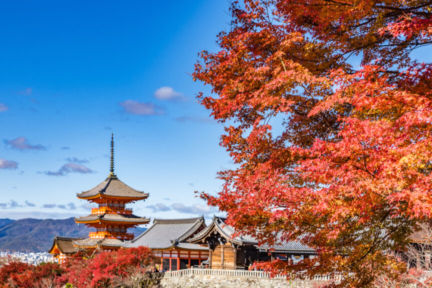 Typical,Landscape,Of,Old,City,Kyoto,With,Momiji,Auntumn,Leaves