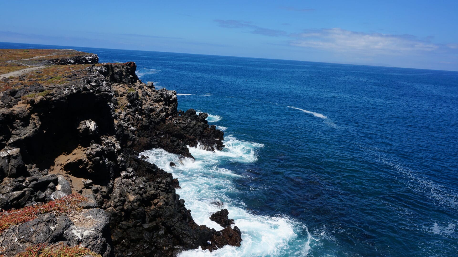 Galapagos - Locations Flora Fauna 55