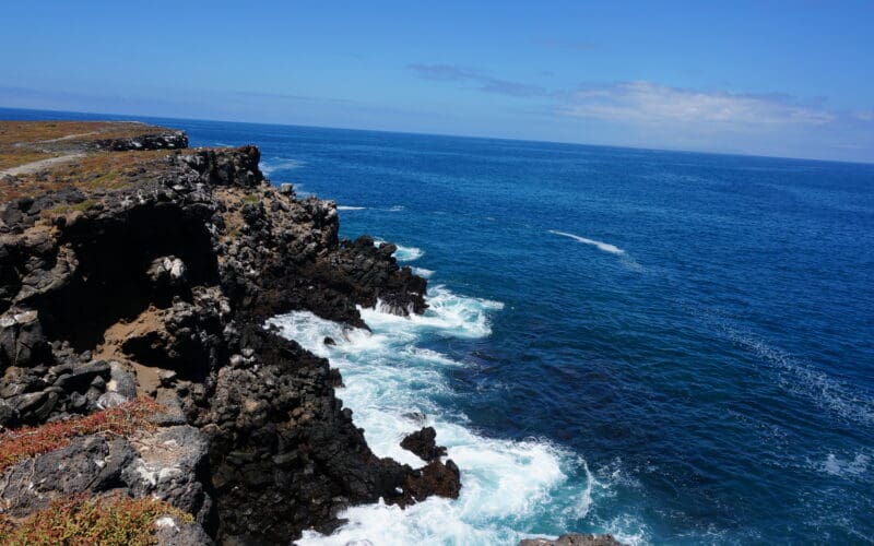 Galapagos - Locations Flora Fauna 55