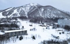 RRNV - Overview_White_Season