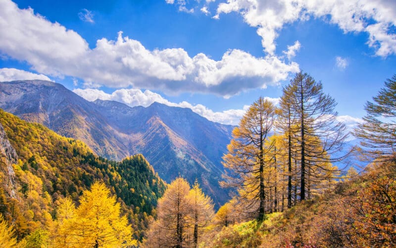 Qinling,Mountains,-,Taibai,Mountain,Autumn