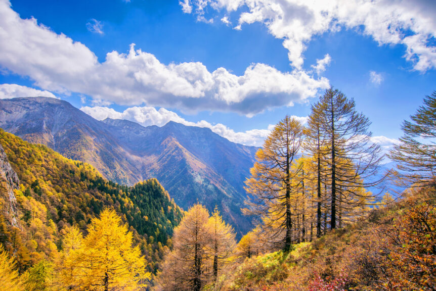Qinling,Mountains,-,Taibai,Mountain,Autumn