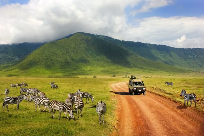 Safari,In,Ngorongoro,Crater,National,Park.,Zebras,Against,Mountains,And