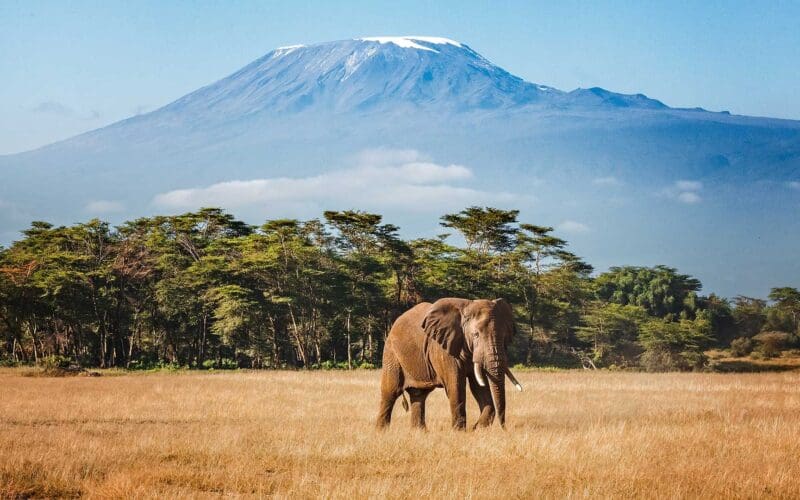 British Airways Tanzania flights will operate three times a week from London Gatwick from 29 May 2027, opening a new East Africa option for UK companies and their travellers.