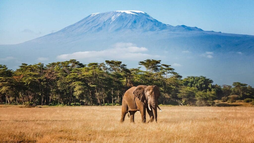 British Airways Tanzania flights will operate three times a week from London Gatwick from 29 May 2027, opening a new East Africa option for UK companies and their travellers.