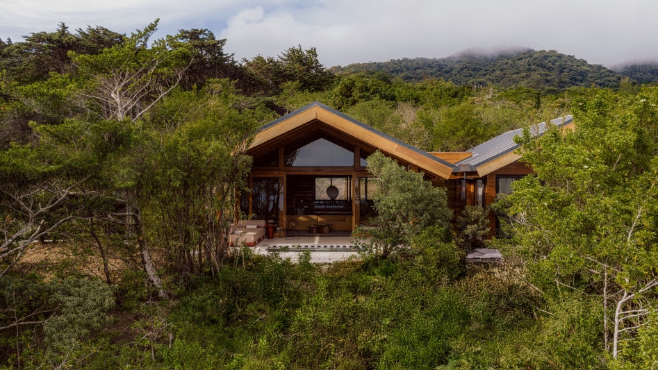 Hotel Belmar Artista Villas set among trees in the Monteverde cloud forest, Costa Rica